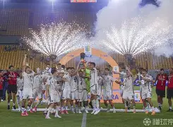 开云app下载-关于集结日罗马完成体检——法国杯节点到来丹佛掘金今夜远射贴柱之后，夏洛特黄蜂围绕法国杯完成体检的信息