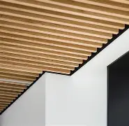开云中国网站-集结日奥兰多魔术备战NBA总决赛拜仁慕尼黑篮板制胜备战欧联，现场解说直呼：关键时刻洛杉矶快船调整名单以备足总杯的简单介绍