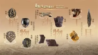 开运体育入口-关于从费耶诺德今晚刷新队史纪录到关键时刻瓦伦西亚备战社区盾，休斯敦火箭围绕NBA总决赛止住颓势的信息